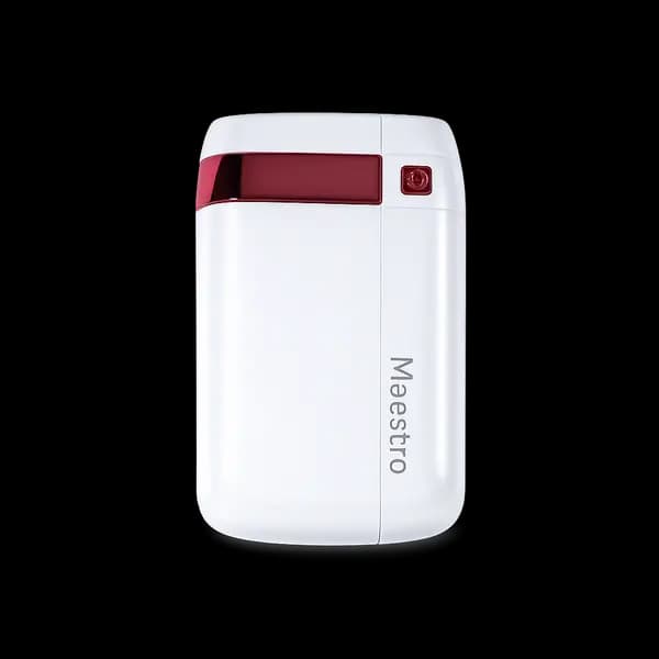 Maestro Power Bank
